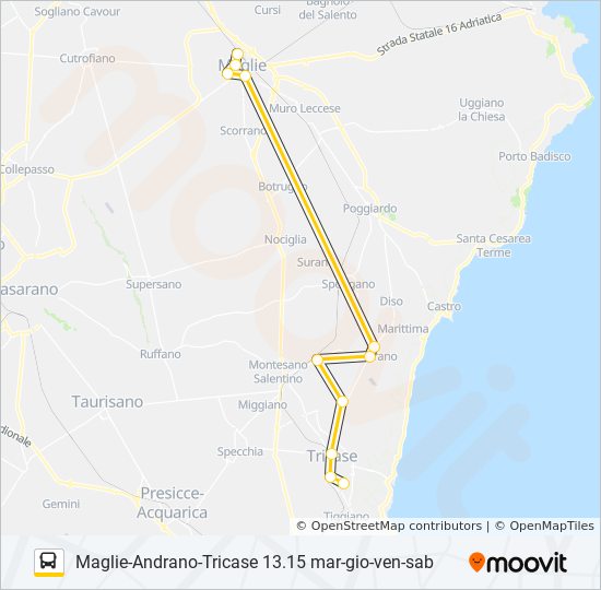 388 R TAM bus Line Map