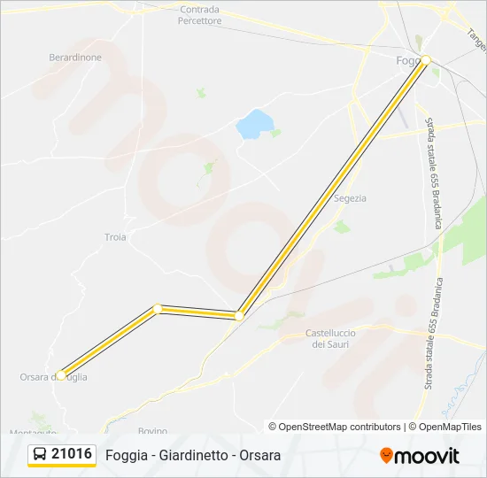 21016 Bus Line Map
