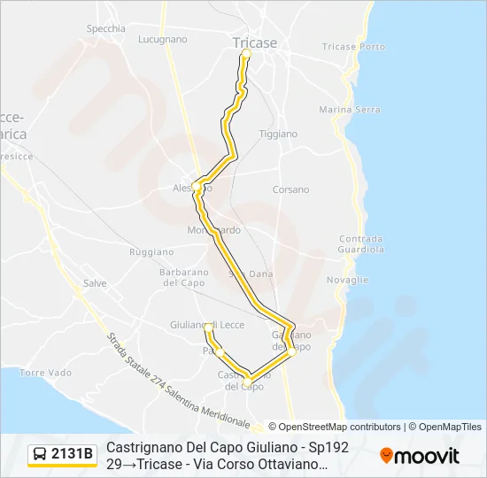 2131B Bus Line Map