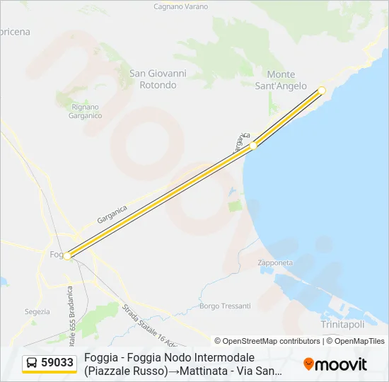 59033 Bus Line Map
