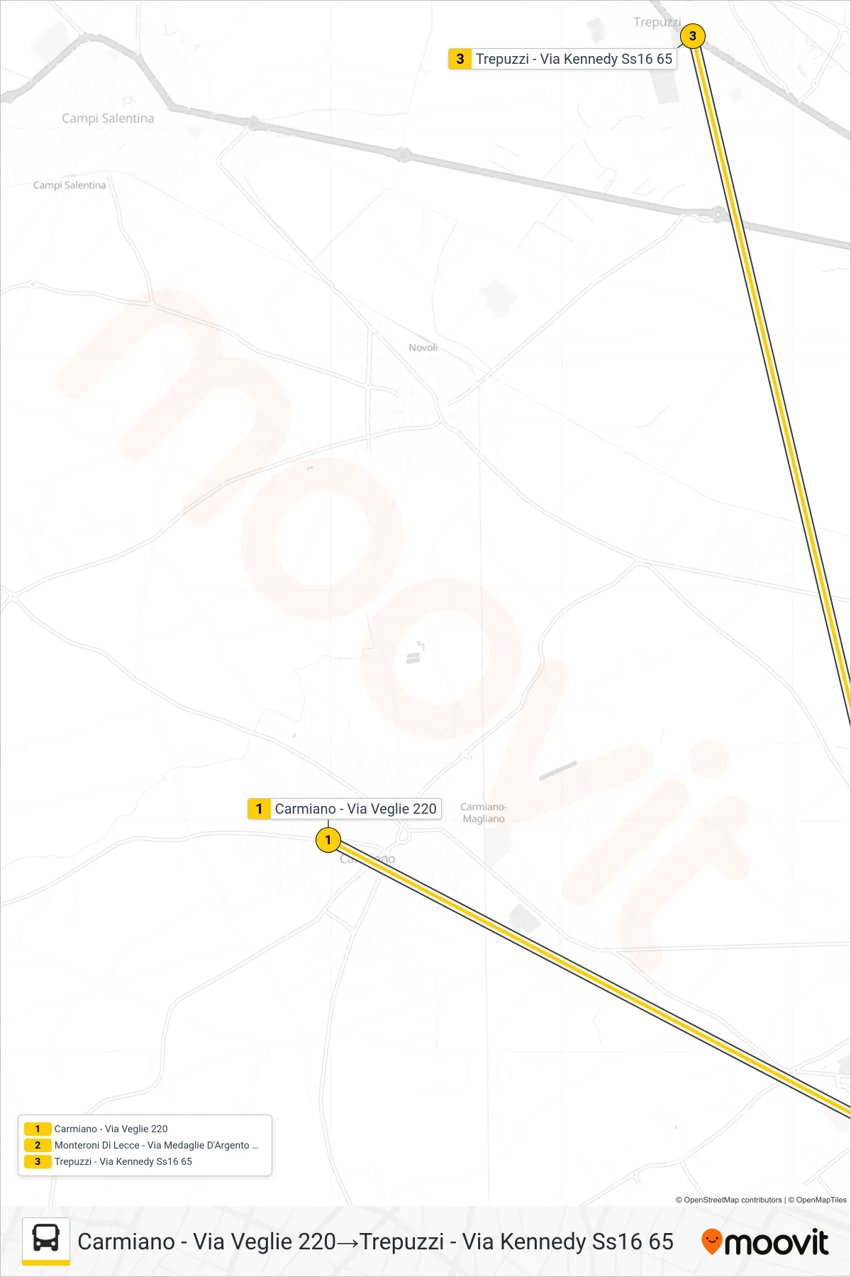 Linea 1021 - 2 bus (Carmiano - Via Veglie 220→Trepuzzi - Via Kennedy Ss16 65) - Percorsi e fermate sulla mappa