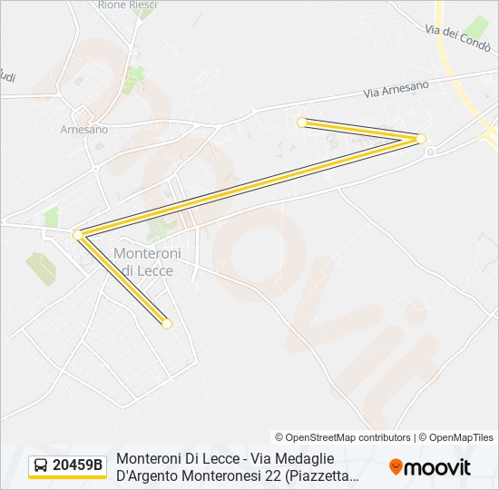 20459B bus Line Map