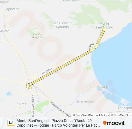741R.D.OORR Bus Line Map