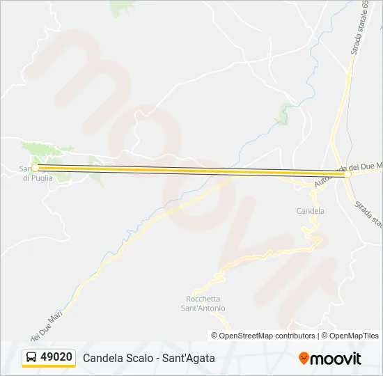49020 Bus Line Map