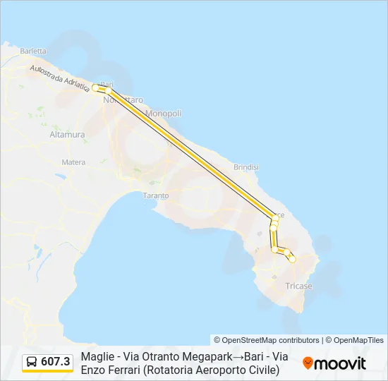 607.3 Bus Line Map