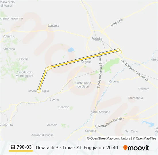 790-03 Bus Line Map