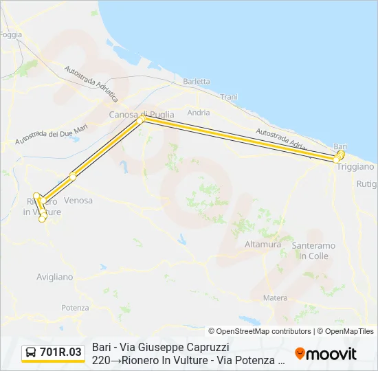701R.03 Bus Line Map