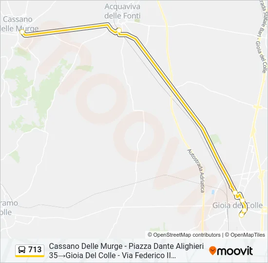 713 Bus Line Map