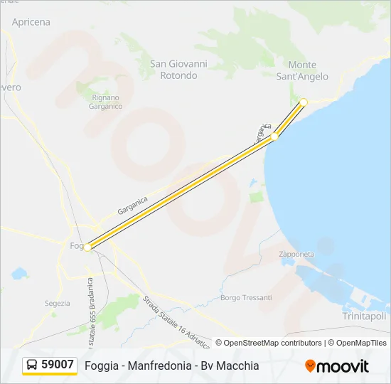 59007 Bus Line Map