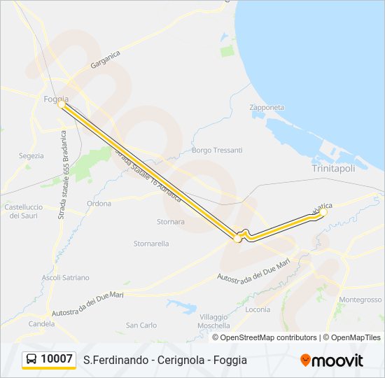 10007 Bus Line Map