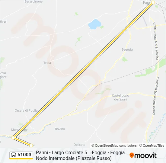51003 Bus Line Map