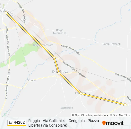 44202 Bus Line Map