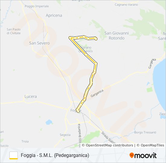 728 PEDEGARGANICA bus Line Map