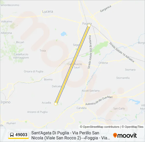 49003 Bus Line Map