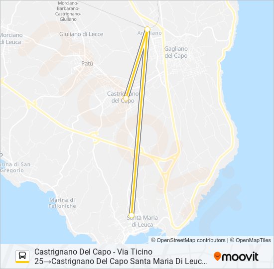 21310S - 2 bus Line Map