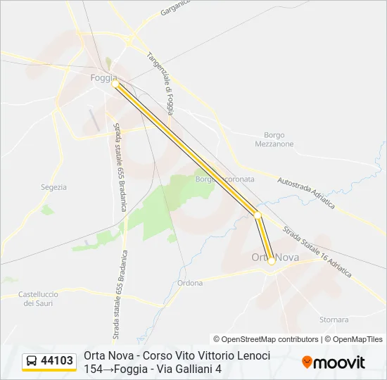 44103 Bus Line Map