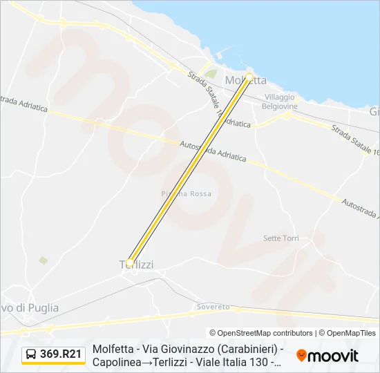 369.R21 Bus Line Map