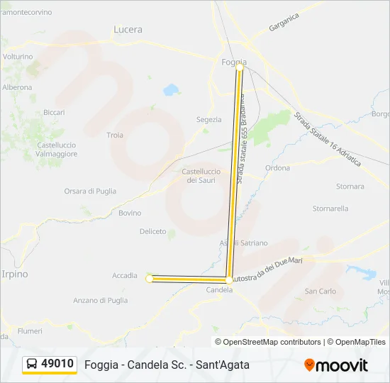 49010 Bus Line Map