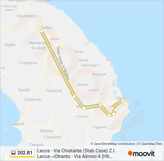 202.R1 Bus Line Map