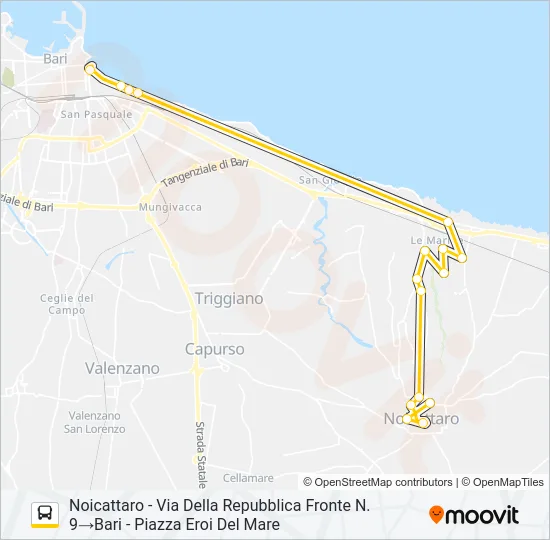 569R.01 FEST Bus Line Map