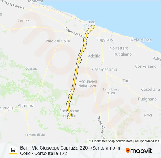 706R.10.02 Bus Line Map