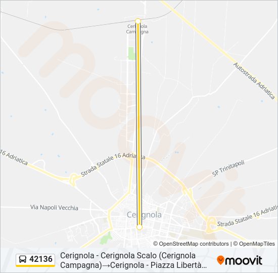 42136 Bus Line Map
