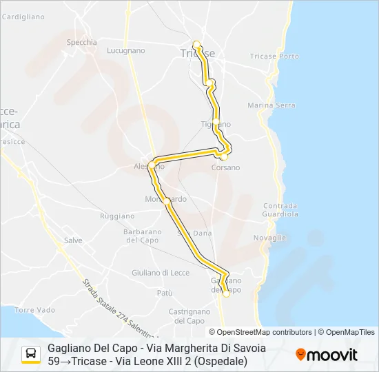 2139 - 2 Bus Line Map