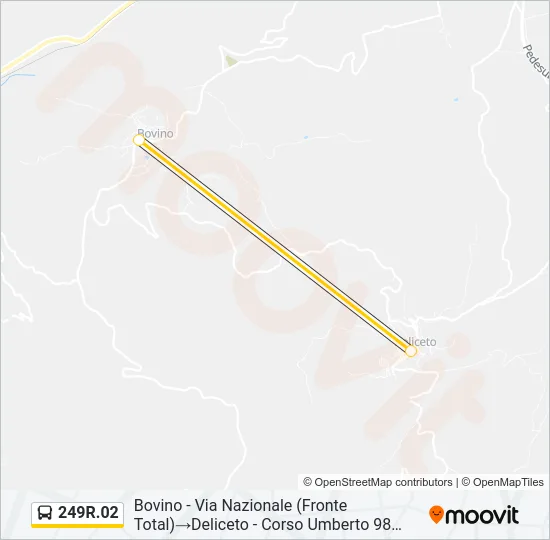 249R.02 Bus Line Map