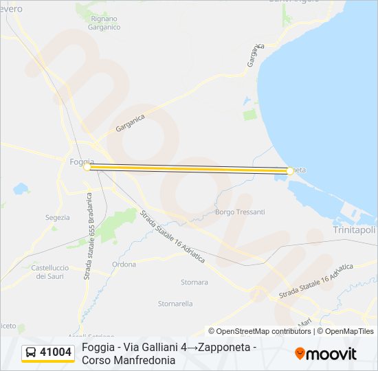 41004 Bus Line Map
