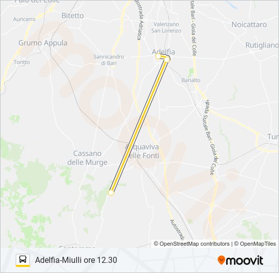 704.AM.04 bus Line Map