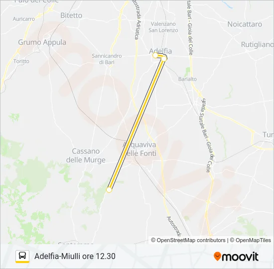 704.AM.04 Bus Line Map