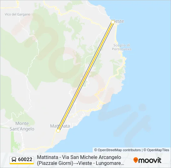 60022 Bus Line Map