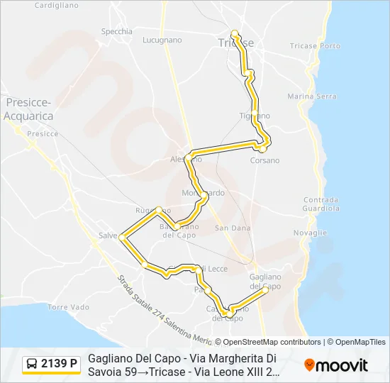 2139 P Bus Line Map
