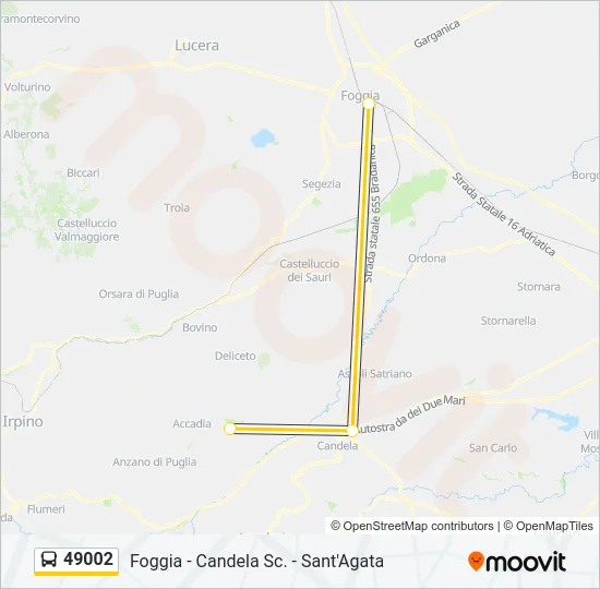 49002 Bus Line Map