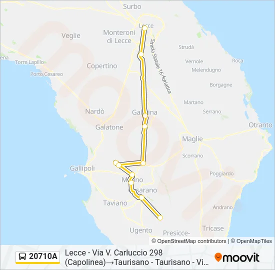 20710A Bus Line Map