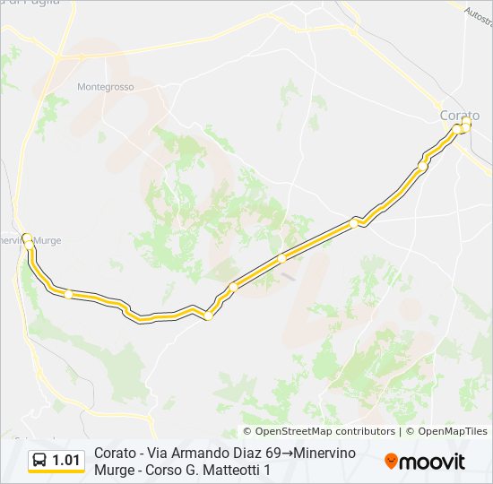 1.01 bus Line Map