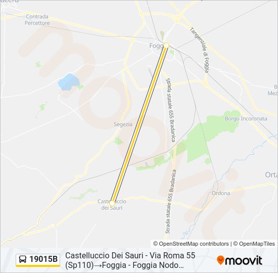 19015B Bus Line Map