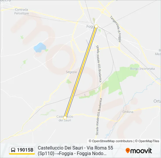 19015B Bus Line Map