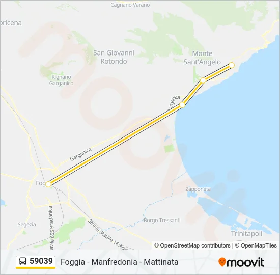 59039 Bus Line Map