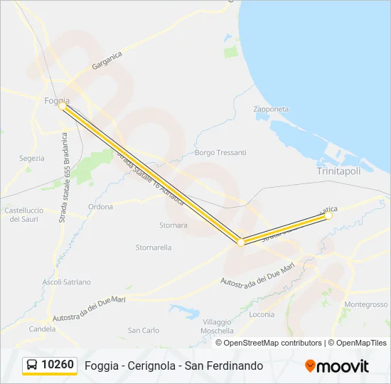 10260 Bus Line Map