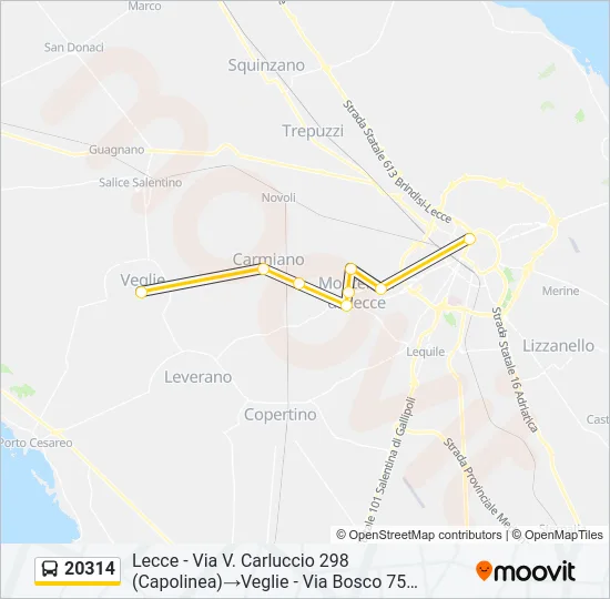 20314 Bus Line Map