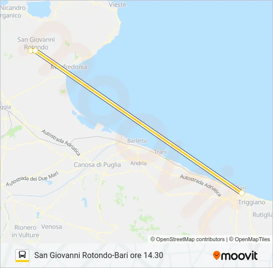 719R.01.01 Bus Line Map