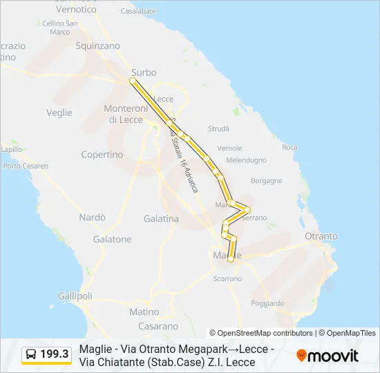 199.3 Bus Line Map