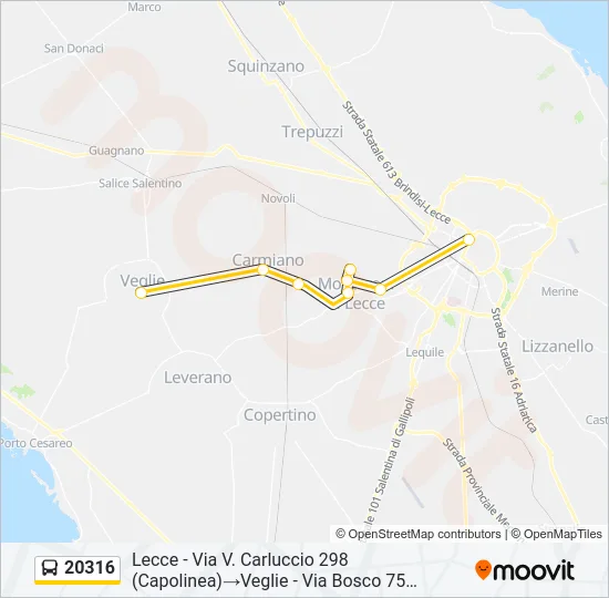 20316 Bus Line Map