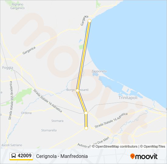 42009 Bus Line Map