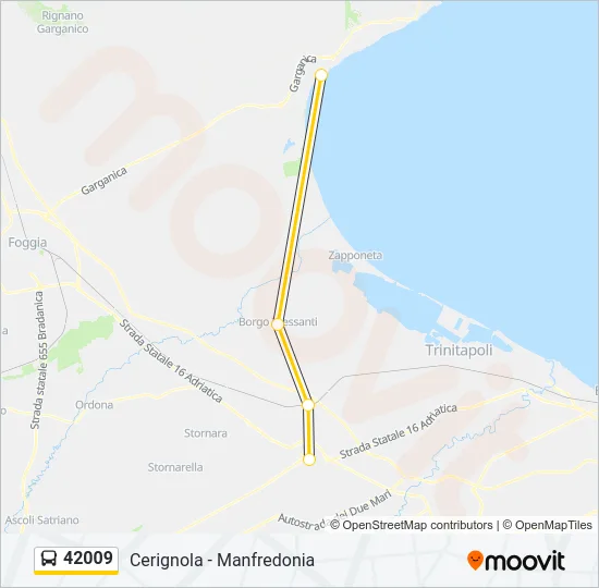 42009 Bus Line Map