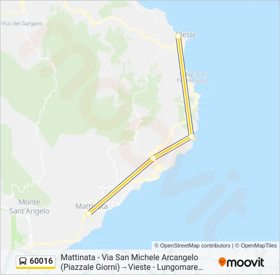 60016 Bus Line Map