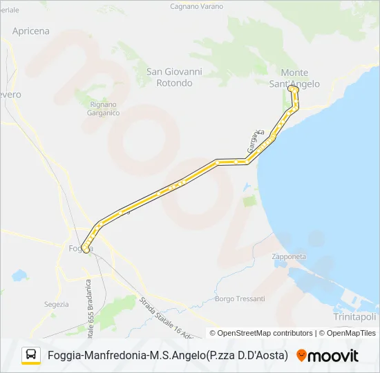 741.1.1D Bus Line Map