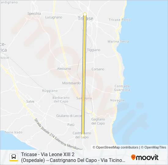 2134BS - 3 Bus Line Map