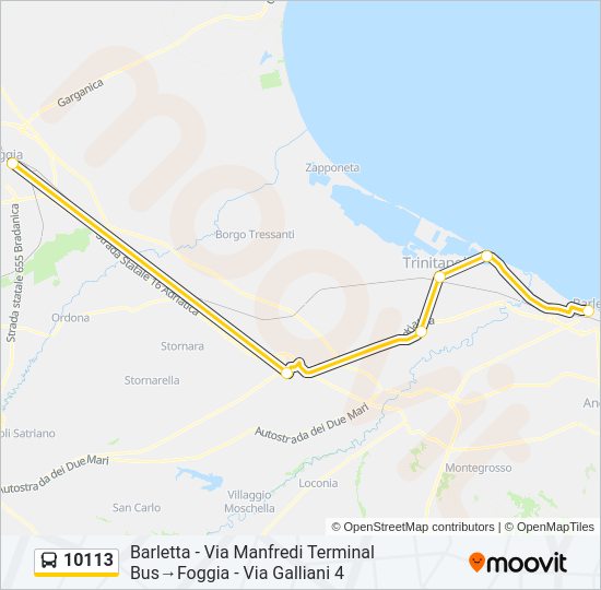 10113 Bus Line Map